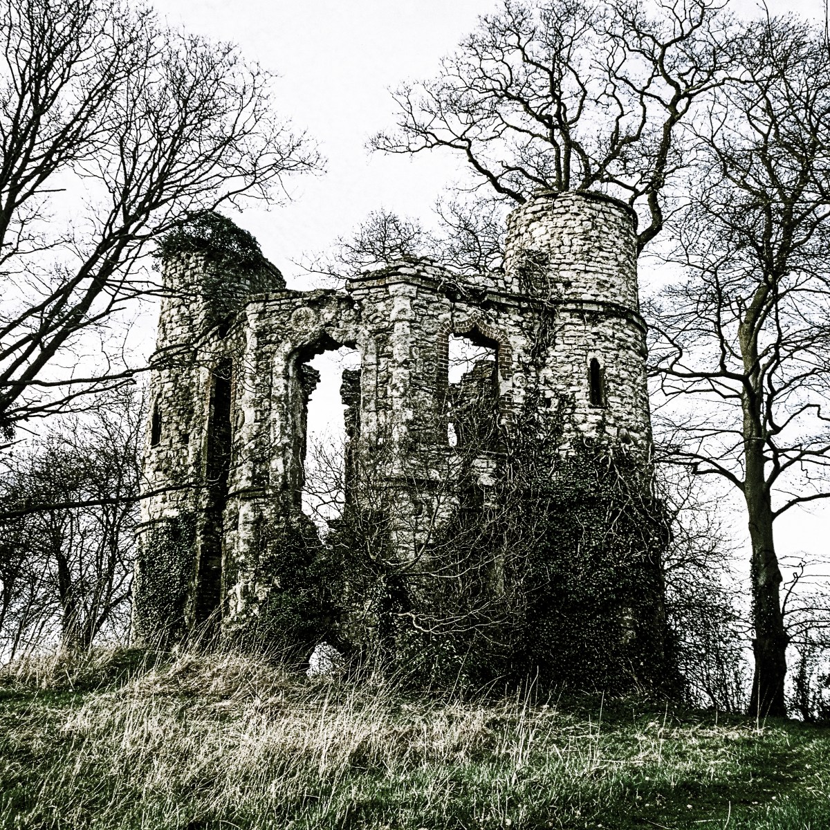 The Shadow of the&nbsp;Almavetra